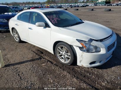 Lot #3051090866 2011 NISSAN MAXIMA 3.5 SV