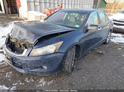 Lot #3035064438 2008 HONDA ACCORD 3.5 EX-L