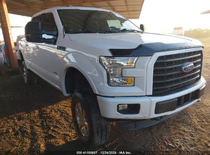 Lot #3046796611 2015 FORD F-150 XLT