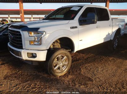 Lot #3046796611 2015 FORD F-150 XLT