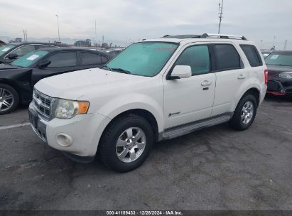 Lot #3051072776 2009 FORD ESCAPE HYBRID LIMITED