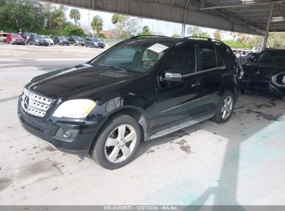 Lot #3046374960 2011 MERCEDES-BENZ ML 350