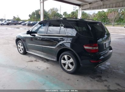 Lot #3046374960 2011 MERCEDES-BENZ ML 350