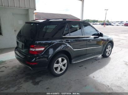 Lot #3046374960 2011 MERCEDES-BENZ ML 350