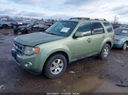 Lot #3050075853 2010 FORD ESCAPE HYBRID LIMITED