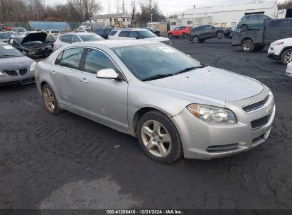 Lot #3051090390 2010 CHEVROLET MALIBU LT