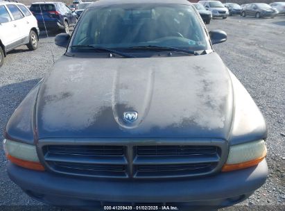 Lot #3051090351 2003 DODGE DAKOTA SXT