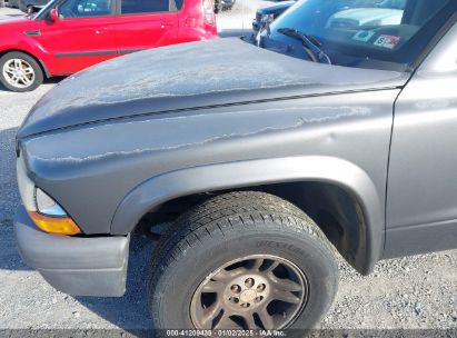 Lot #3051090351 2003 DODGE DAKOTA SXT