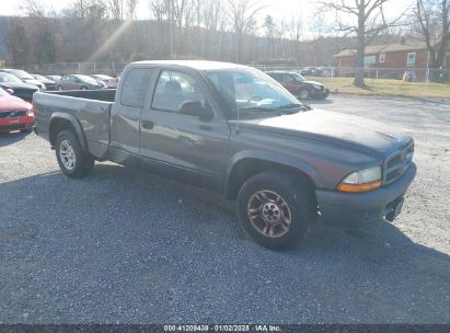 Lot #3051090351 2003 DODGE DAKOTA SXT