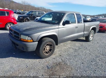 Lot #3051090351 2003 DODGE DAKOTA SXT