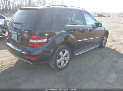 Lot #3046374827 2010 MERCEDES-BENZ ML 350 4MATIC