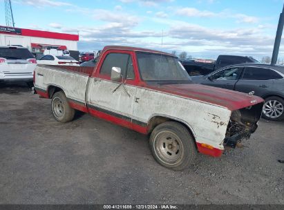 Lot #3056468781 1982 DODGE D-SERIES D150