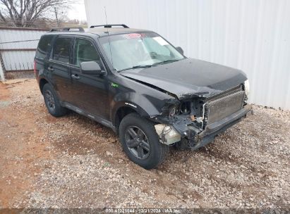 Lot #3056468619 2011 FORD ESCAPE HYBRID