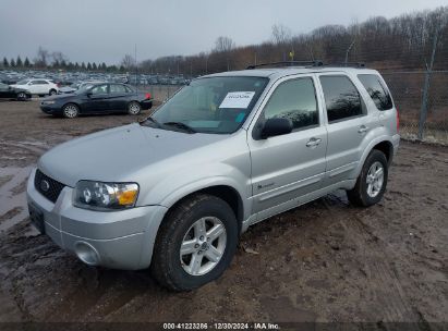 Lot #3048046670 2006 FORD ESCAPE HYBRID