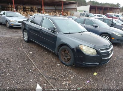 Lot #3055287136 2011 CHEVROLET MALIBU 1LT