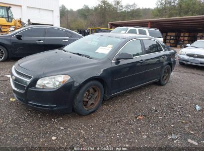 Lot #3055287136 2011 CHEVROLET MALIBU 1LT