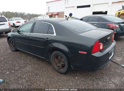 Lot #3055287136 2011 CHEVROLET MALIBU 1LT