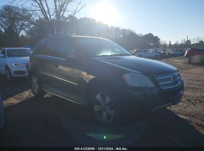 Lot #3042563452 2010 MERCEDES-BENZ ML 350 4MATIC