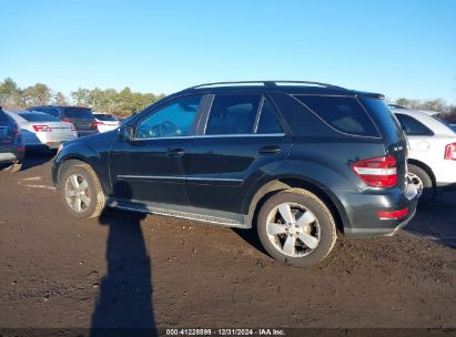 Lot #3042563452 2010 MERCEDES-BENZ ML 350 4MATIC