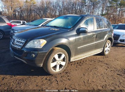 Lot #3042563452 2010 MERCEDES-BENZ ML 350 4MATIC