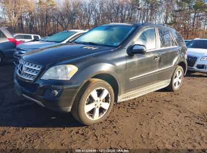 Lot #3042563452 2010 MERCEDES-BENZ ML 350 4MATIC