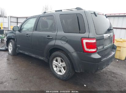 Lot #3046372738 2008 FORD ESCAPE HYBRID