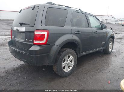 Lot #3046372738 2008 FORD ESCAPE HYBRID