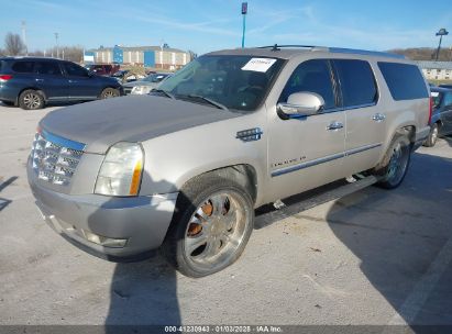 Lot #3052078656 2007 CADILLAC ESCALADE ESV STANDARD