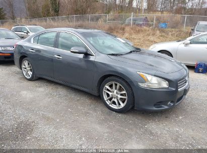 Lot #3052069105 2009 NISSAN MAXIMA 3.5 SV