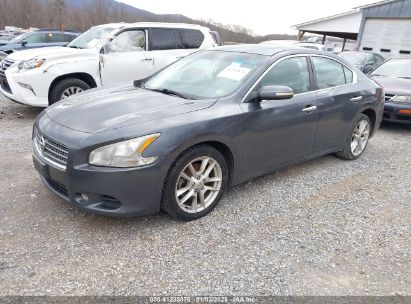 Lot #3052069105 2009 NISSAN MAXIMA 3.5 SV