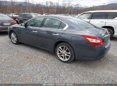 Lot #3052069105 2009 NISSAN MAXIMA 3.5 SV