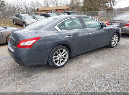 Lot #3052069105 2009 NISSAN MAXIMA 3.5 SV