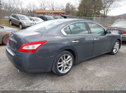 Lot #3052069105 2009 NISSAN MAXIMA 3.5 SV