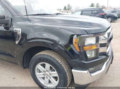 Lot #3054888078 2023 FORD F-150 XLT