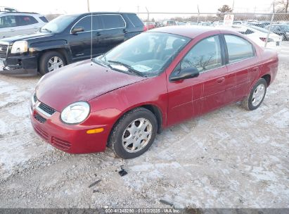 Lot #3052078502 2004 DODGE NEON SXT