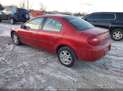 Lot #3052078502 2004 DODGE NEON SXT