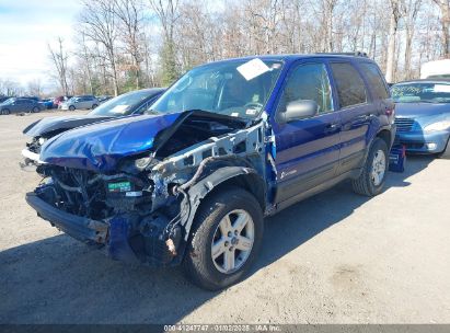 Lot #3046374417 2006 FORD ESCAPE HYBRID