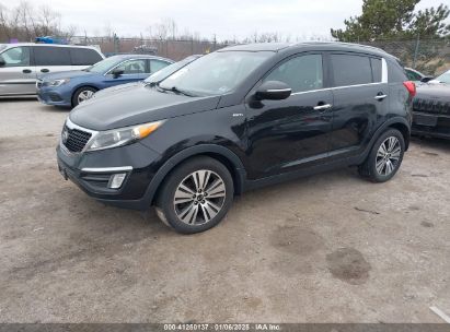 Lot #3052078464 2015 KIA SPORTAGE EX