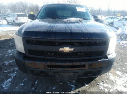 Lot #3054286471 2010 CHEVROLET SILVERADO 1500 WORK TRUCK