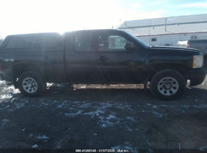 Lot #3054286471 2010 CHEVROLET SILVERADO 1500 WORK TRUCK