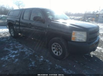 Lot #3054286471 2010 CHEVROLET SILVERADO 1500 WORK TRUCK