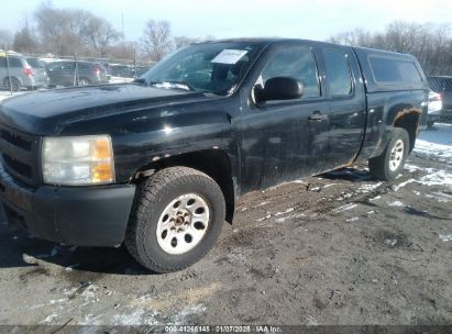 Lot #3054286471 2010 CHEVROLET SILVERADO 1500 WORK TRUCK