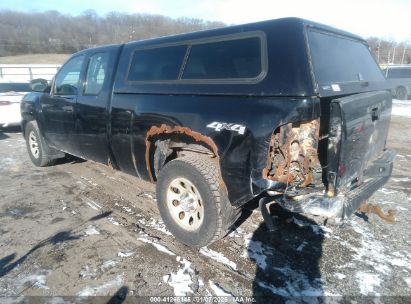 Lot #3054286471 2010 CHEVROLET SILVERADO 1500 WORK TRUCK