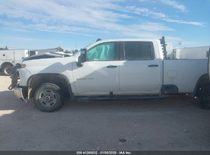 Lot #3057077590 2024 CHEVROLET SILVERADO 2500HD 4WD  LONG BED WORK TRUCK