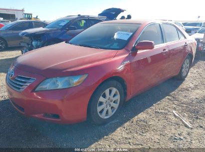 Lot #3052078347 2008 TOYOTA CAMRY HYBRID