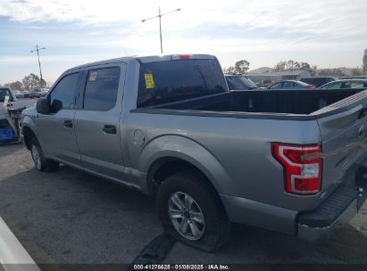 Lot #3053067079 2020 FORD F-150 XLT