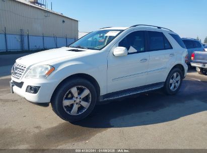 Lot #3053067050 2009 MERCEDES-BENZ ML 350 4MATIC