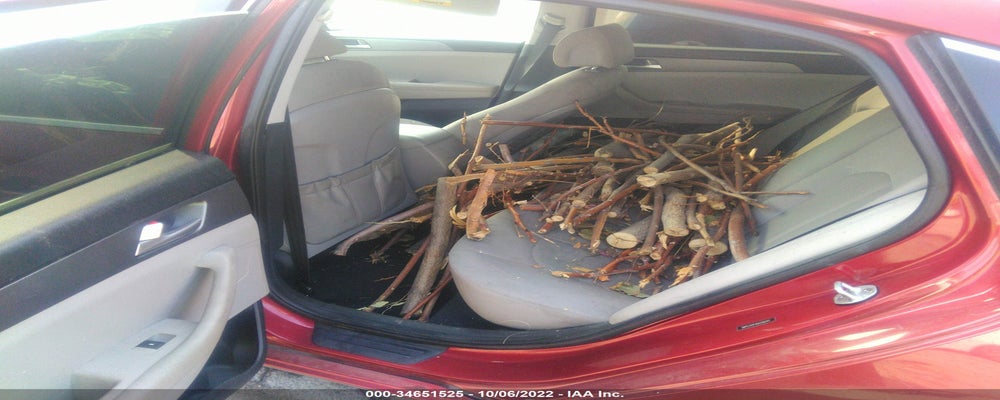 5NPE24AF4GH356247 2016 HYUNDAI SONATA photo no. 8