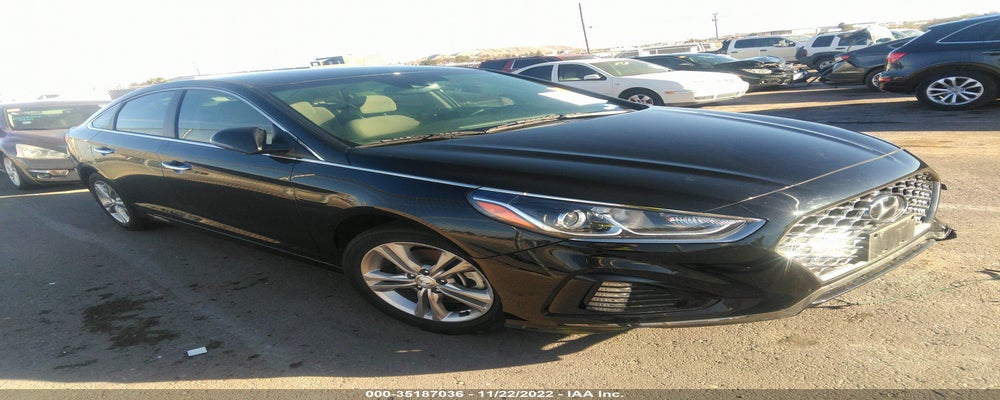 5NPE34AF3KH816357 2019 HYUNDAI SONATA photo no. 14