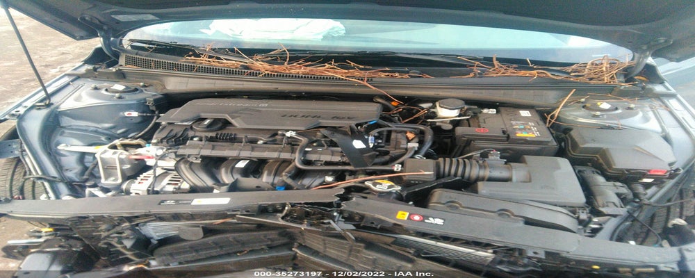 KMHLS4AG2PU384212 2023 HYUNDAI ELANTRA photo no. 10